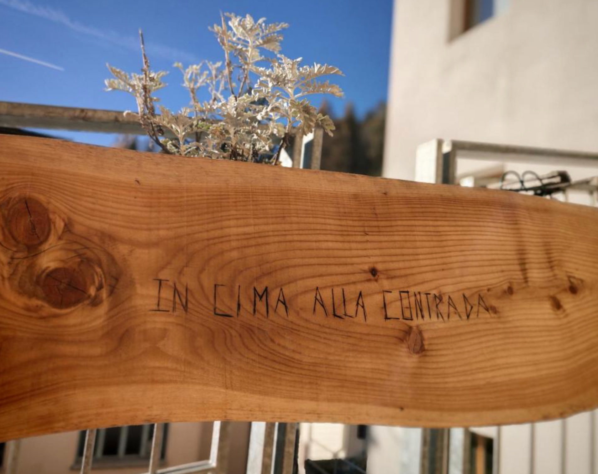 Insegna
